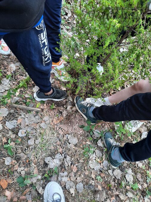 photo_1_2023-05-23_22-19-01